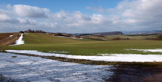 Fr&uuml;hjahrsaspekt der S&uuml;dharzer Gipskarstlandschaft  am Karstwanderweg bei Harzungen (Foto: BUND Nordhausen)