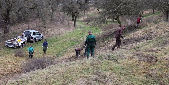 Arbeitseinsatz (Foto: Vanessa Haufschild )