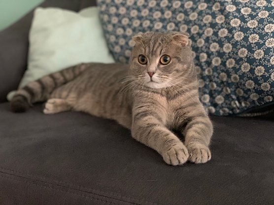 Wo ist Buddy? (Foto: privat)