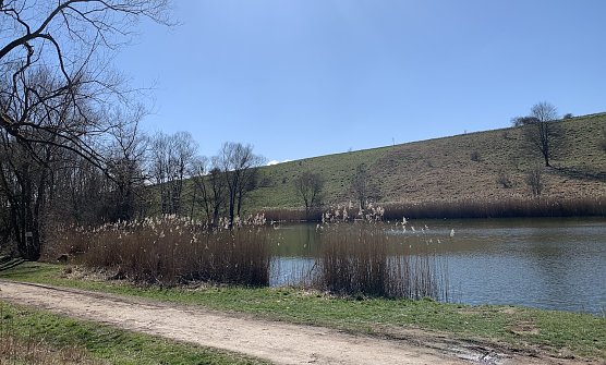 wetter (Foto: oas) wetter (Foto: oas)