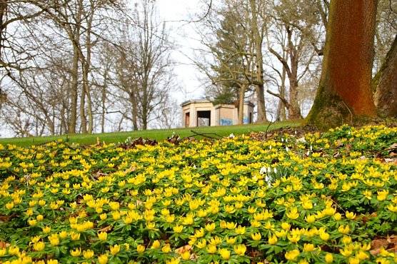 Wetterbild (Foto: Angelo Glashagel)