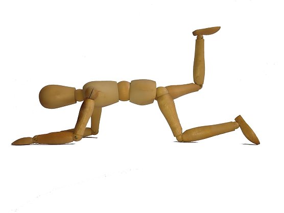 hamstring (Foto: W.H&uuml;tcher)