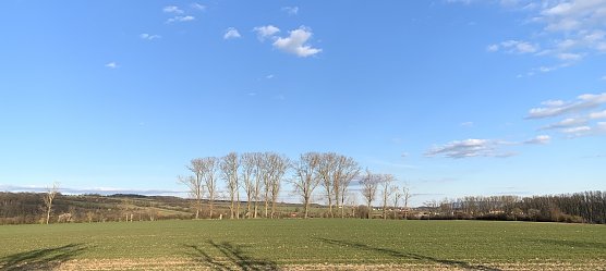 wetter (Foto: oas) wetter (Foto: oas)