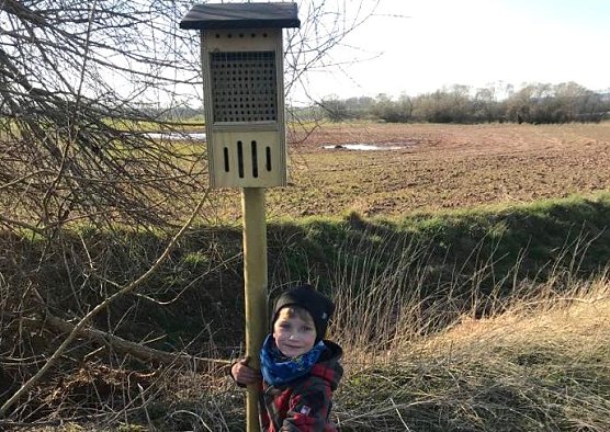 Bienenhotel (Foto: B.Juch) Bienenhotel (Foto: B.Juch)