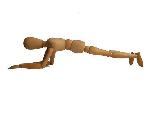 Unterarmstütz (Foto: Martin Räcke) Unterarmstütz (Foto: Martin Räcke)