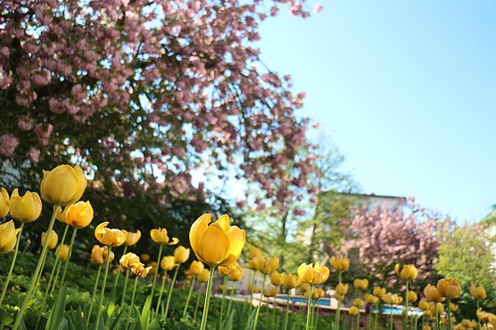 Wetterbild (Foto: Angelo Glashagel) Wetterbild (Foto: Angelo Glashagel)