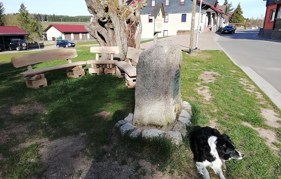 Sitzgruppe (Foto: W.Jörgens) Sitzgruppe (Foto: W.Jörgens)