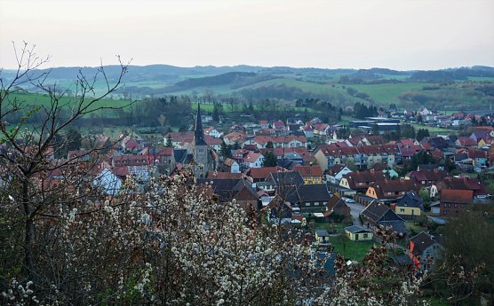 Blick auf Niedersachswerfen (Foto: Susanne Schedwill)