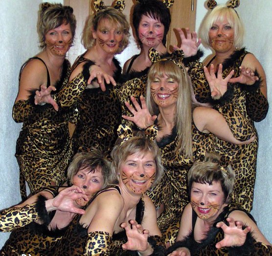 Gef&auml;hrliche Katze (Foto: privat)