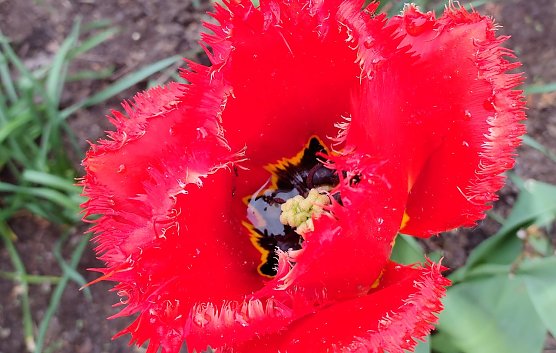 Fr&uuml;hling (Foto: U.Vetter)