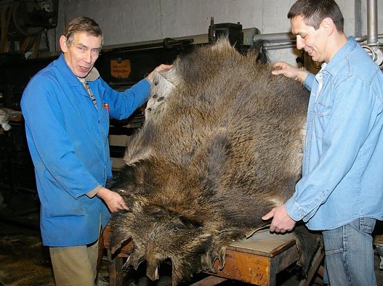 Tierische Reqisite (Foto: I. K&uuml;hn)