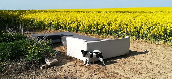 Umweltschande (Foto: Andreas K.)