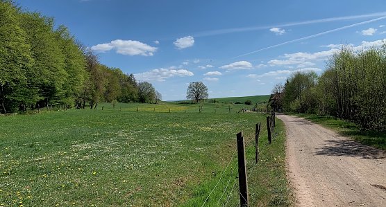 Frühling im Vorharz (Foto: oas) Frühling im Vorharz (Foto: oas)