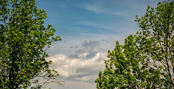 Wetterbild (Foto: Gernot Thelemann)