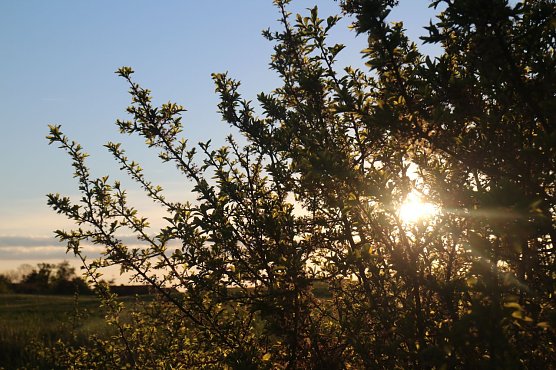 Wetterbild (Foto: agl) Wetterbild (Foto: agl)