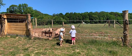 Natur pur, bei Herrmannsacker ist das m&ouml;glich (Foto: privat, Familien Findeisen)
