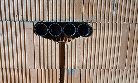 Geschlitzt (Foto: privat)