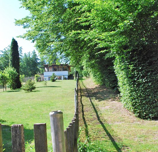 Zaun, Weg, Wald. Der Waldsaum soll vier Meter in die Tiefe gefällt werden. (Foto: J.Miche) Zaun, Weg, Wald. Der Waldsaum soll vier Meter in die Tiefe gefällt werden. (Foto: J.Miche)