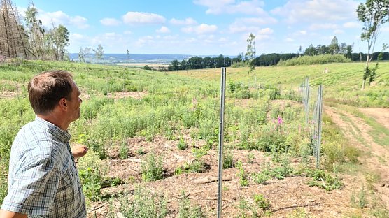 Lars-Kristian Kothe vor einer Aufforstungsfl&auml;che am Reesberg (Foto: nnz)