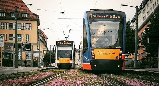 Stra&szlig;enbahn Nordhausen (Foto: &copy;Stadtverwaltung Nordhausen)