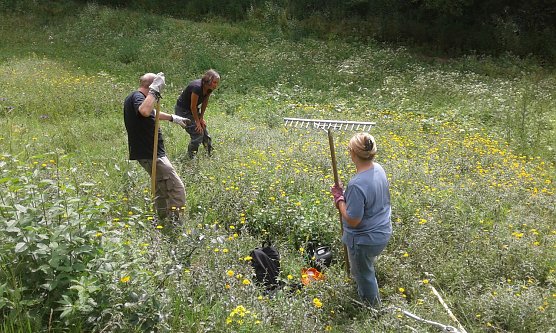 Teilnehmerinnen und Teilnehmer des 98. landschaftspflegerischen BUND-Einsatzes beobachten Schmetterlinge in der N&auml;he von Steigerthal. (Foto: Bodo Schwarzberg)