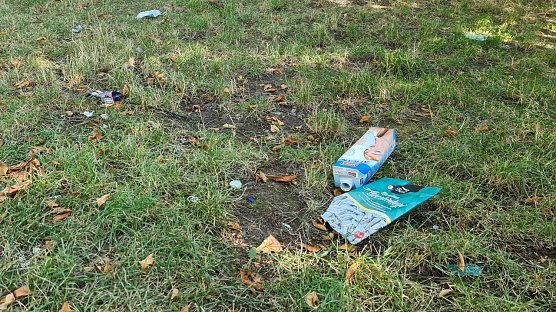 Dieses Foto entstand am heutigen Morgen, es zeigt einen kleinen Ausschnitt, ist leider jedoch repr&auml;sentativ. (Foto: nnz)