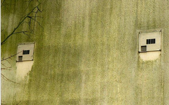 So sieht die Wand heute aus (Foto: Heidelore Kneffel)