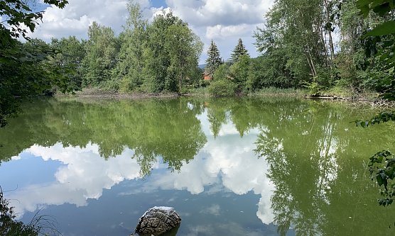 Tanzteich (Foto: oas) Tanzteich (Foto: oas)