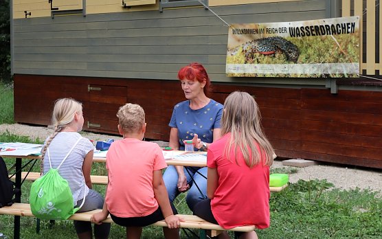 Eine offene Molchhütte im Teichtal (Foto: Landschaftspflegeverband Südharz/Kyffhäuser ) Eine offene Molchhütte im Teichtal (Foto: Landschaftspflegeverband Südharz/Kyffhäuser )