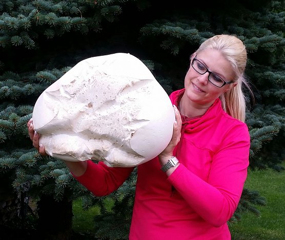 Riesenbovist mit 9 &frac12; Pfund � mitten im Ort (Foto: Anja Kolbe-Nelde)