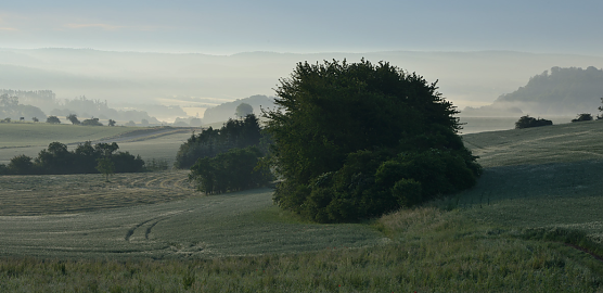 Einen von drei Informations-Pavillons will der Landschaftspflegeverband nahe Buchholz aufstellen (Foto: Thomas Stephan)