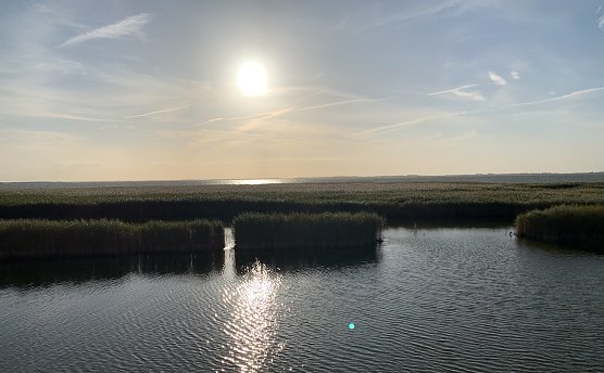 Sonnenuntergang am Saaler Bodden (Foto: oas)