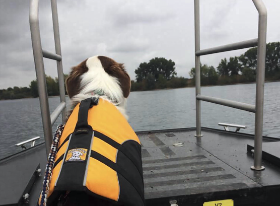 Rettungshunde und Nordhäuser Feuerwehr gemeinsam im Einsatz (Foto: Stadtverwaltung Nordhausen) Rettungshunde und Nordhäuser Feuerwehr gemeinsam im Einsatz (Foto: Stadtverwaltung Nordhausen)