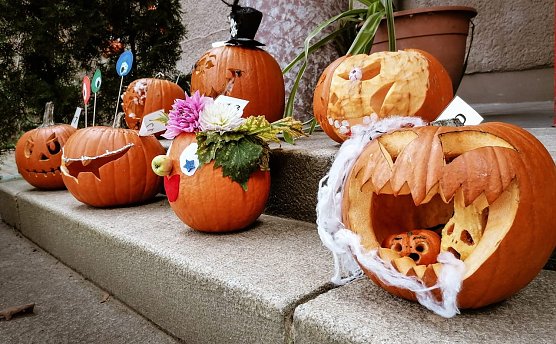 Gruseliges im Domshlösschen (Foto: P.Suhr) Gruseliges im Domshlösschen (Foto: P.Suhr)