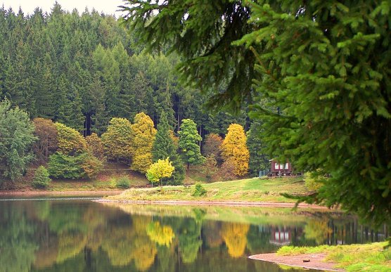 Die L&uuml;tschetalsperre im Th&uuml;ringer Forstamt Finsterbergen: W&auml;hrend Laubh&ouml;lzer einen farbenfrohen Indian Summer zaubern, bleiben die Nadelb&auml;ume -aus gutem Grund- ganzj&auml;hrig gr&uuml;n. (Foto: Th&uuml;ringenForst, Dr. Horst Spro&szlig;mann)