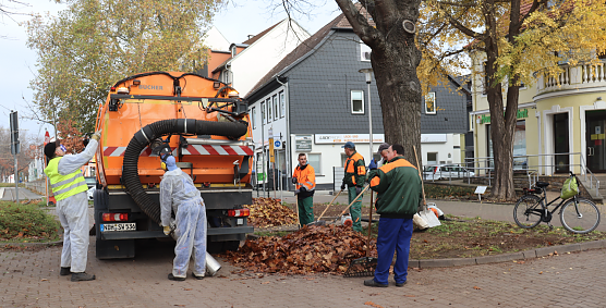 Mission Laub auf Nordhausens Straßen (Foto: Stadtverwaltung Nordhausen) Mission Laub auf Nordhausens Straßen (Foto: Stadtverwaltung Nordhausen)