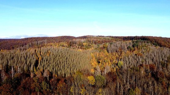 Blick in den Südharz (Foto: Peter Blei) Blick in den Südharz (Foto: Peter Blei)