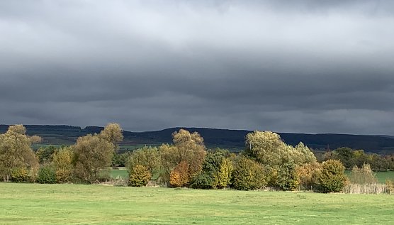 Im S&uuml;dharz (Foto: oas)