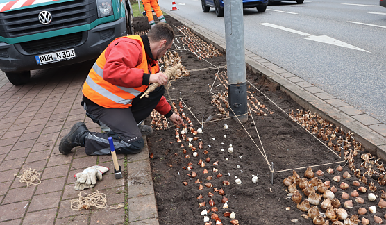 Vorbereitungen in der Uferstraße (Foto: Stadtverwaltung Nordhausen) Vorbereitungen in der Uferstraße (Foto: Stadtverwaltung Nordhausen)