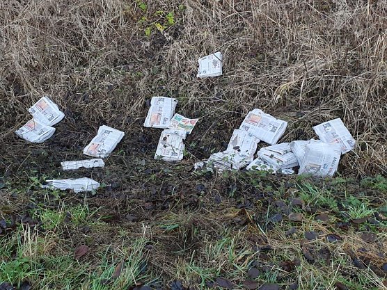 Papiermüll an der Salzaquelle (Foto: privat) Papiermüll an der Salzaquelle (Foto: privat)