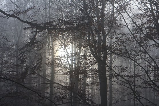 Wetterbild (Foto: agl) Wetterbild (Foto: agl)