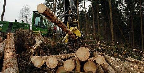 Aufräumen (Foto: Wiethoff) Aufräumen (Foto: Wiethoff)