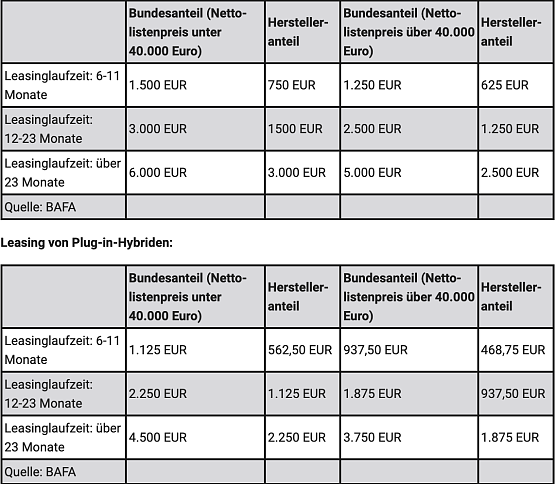 Leasing von Batterieelektro- oder Brennstoffzellenfahrzeugen (Foto: Automobilclub von Deutschland)