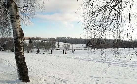 Viele Familien nutzten das sch&ouml;ne Winterwetter heute ihn Sophienhof (Foto: W.J&ouml;rgens)