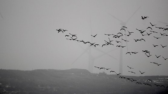 Magischer Moment (Foto: Eva Maria Wiegand)