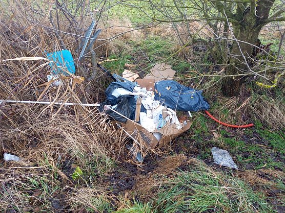 Zwischen Werther und Steinbr&uuml;cken tauchen immer wieder gr&ouml;&szlig;ere M&uuml;llablagerungen auf (Foto: Andreas Kruse)