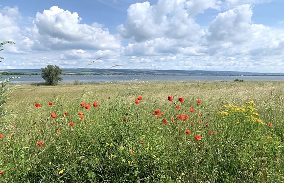 Der Frühling hämmert dieses Wochenende an die Wettertür (Foto: nnz-Archiv) Der Frühling hämmert dieses Wochenende an die Wettertür (Foto: nnz-Archiv)
