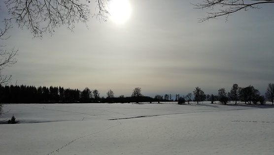 Sophienhof (Foto: W.Jörgens) Sophienhof (Foto: W.Jörgens)