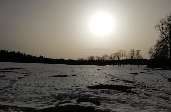 Bei Sophienhof (Foto: W.Jörgens) Bei Sophienhof (Foto: W.Jörgens)