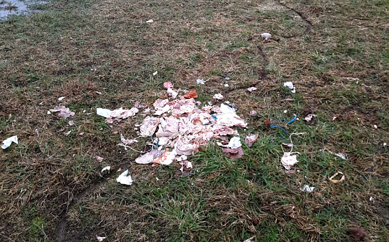 Entsorgte Wurstreste bei Steigerthal (Foto: Sabine Schneider, Jagdgenossenschaft ) Entsorgte Wurstreste bei Steigerthal (Foto: Sabine Schneider, Jagdgenossenschaft )